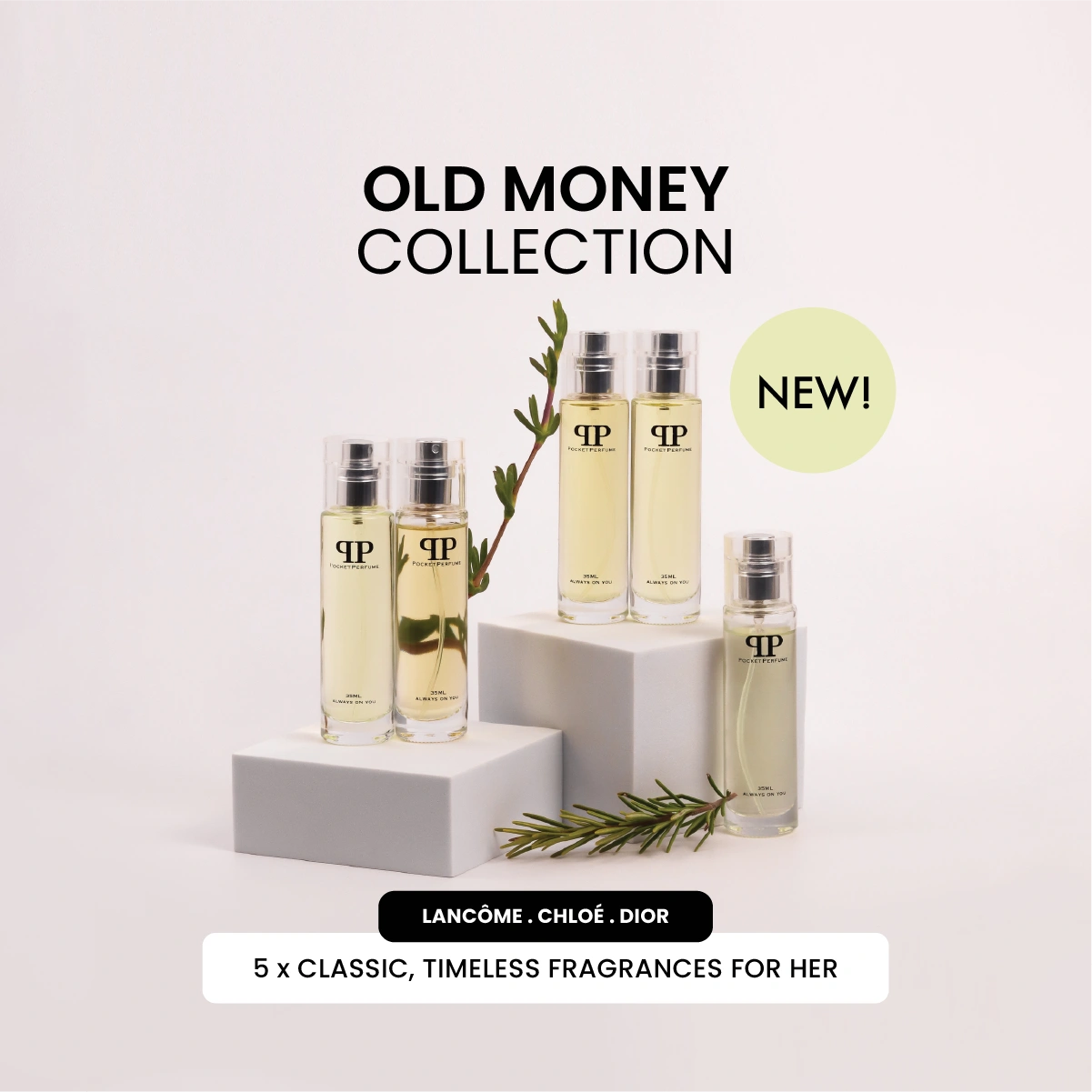 Old Money Collection For Her